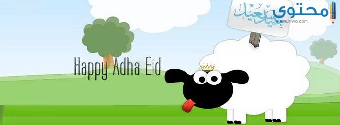 خروف العيد06