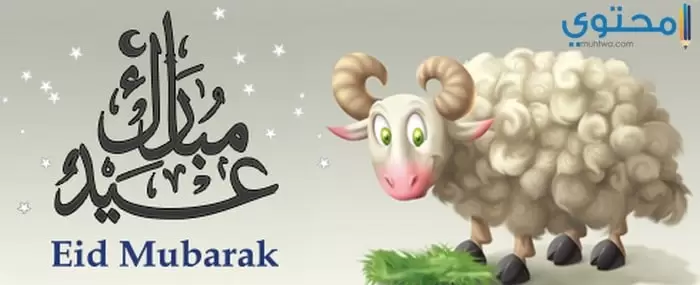 خروف العيد11