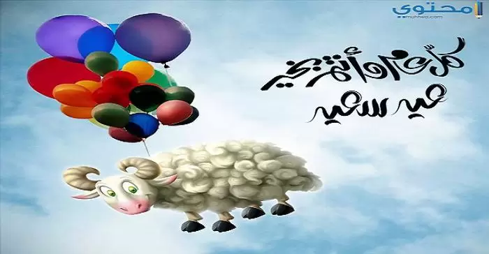 خروف العيد16