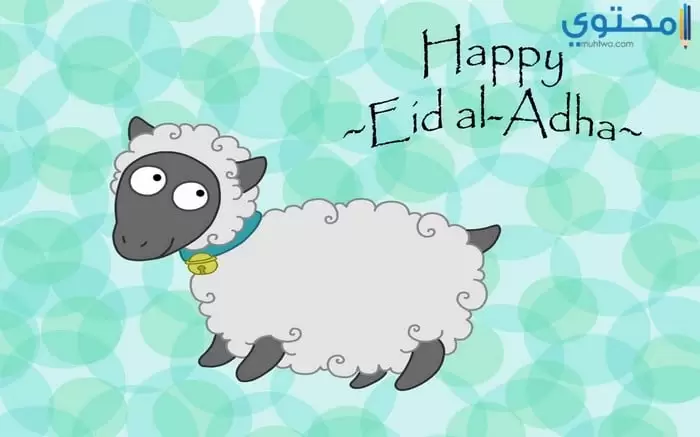 خروف العيد19
