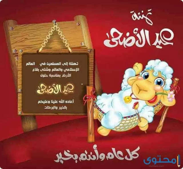 صور خروف عيد الاضحي