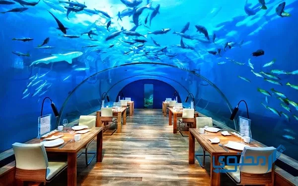 صور ديكورات مطاعم أسماك جديدة