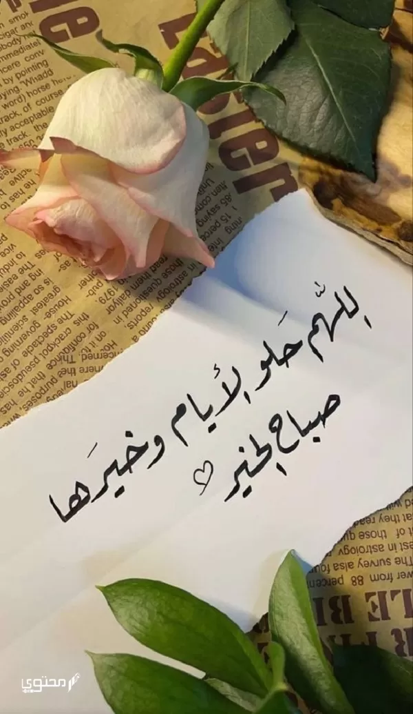 صور صباح الخير رومانسية جميلة جدًا وجديدة 2024 