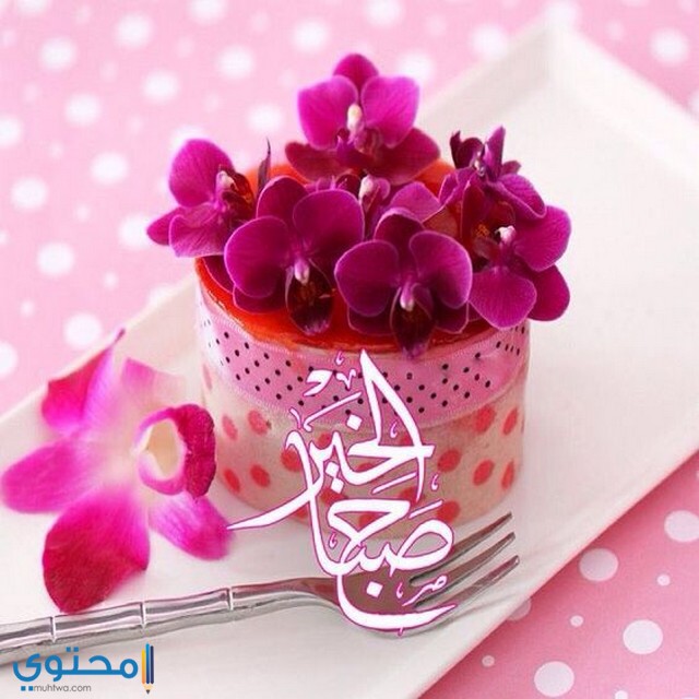 صور صباح الخير 2021 مكتوب عليها اجمل خلفيات صباح الخير