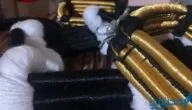صور عقال يوم التأسيس السعودي 1445