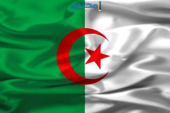 صور علم الجزائر لمواقع التواصل الإجتماعي
