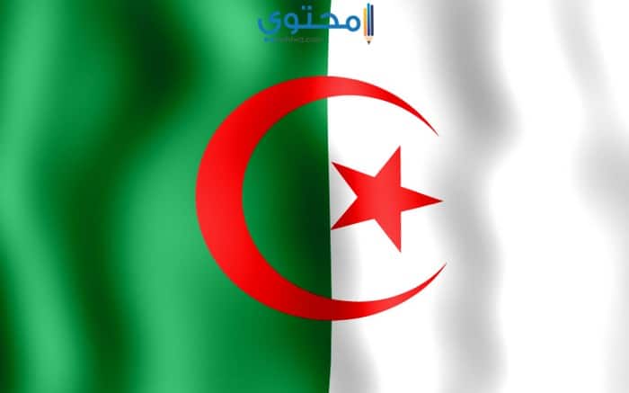 صور علم الجزائر للفيس بوك 