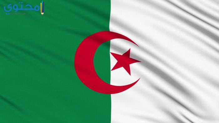 علم الجزائر الجديد 