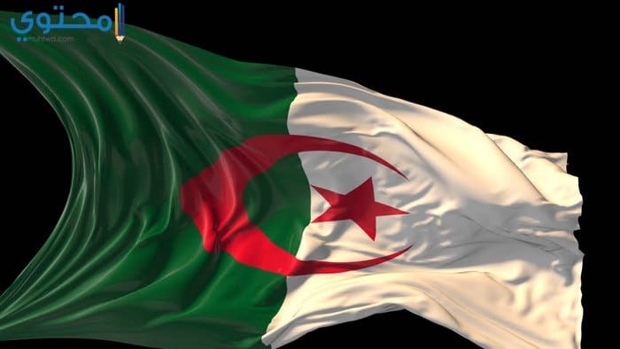 صور علم الجزائر للفيس بوك 