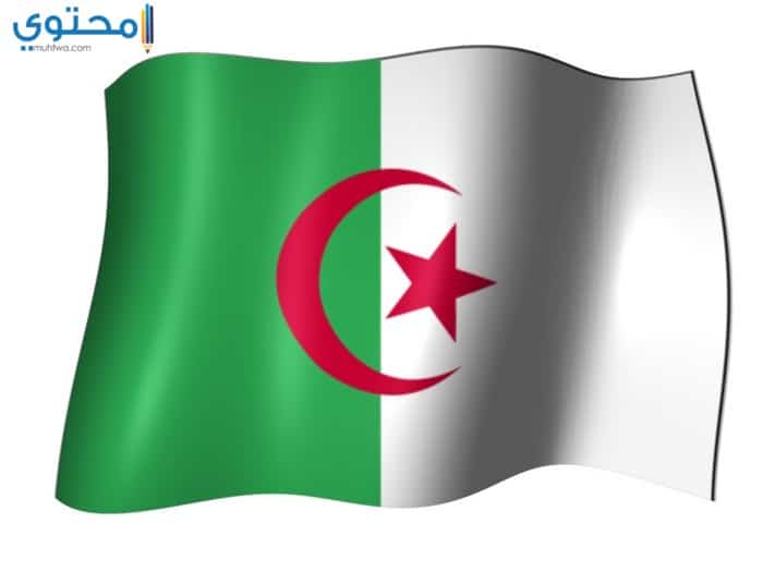 أجمل الصور المعبرة عن علم الجزائر 