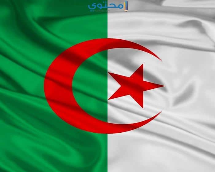صور وتصميمات علم الجزائر