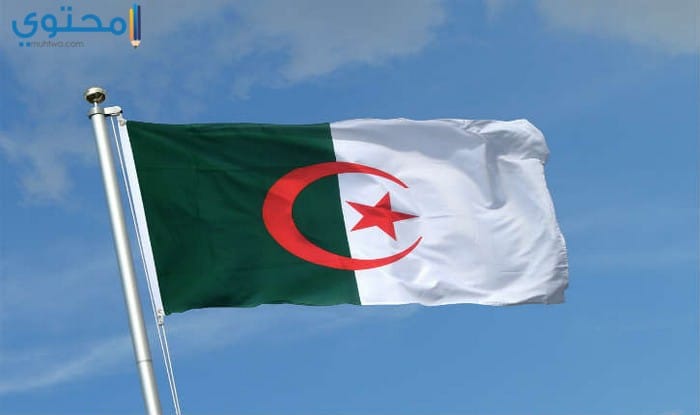 خلفيات عن علم الجزائر جديدة 