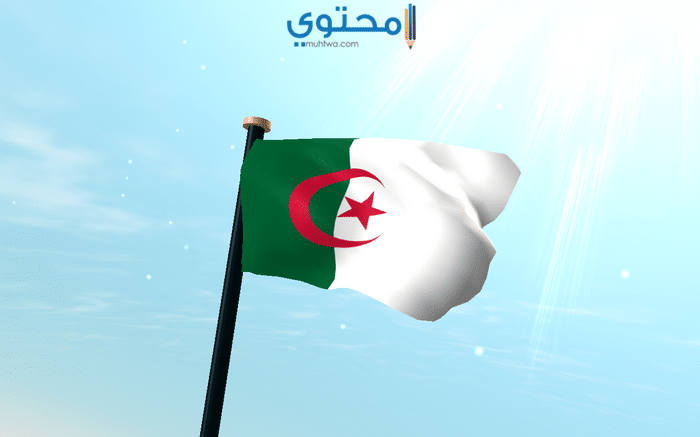 علم الجزائر الجديد 