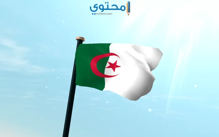 علم الجزائر الجديد 