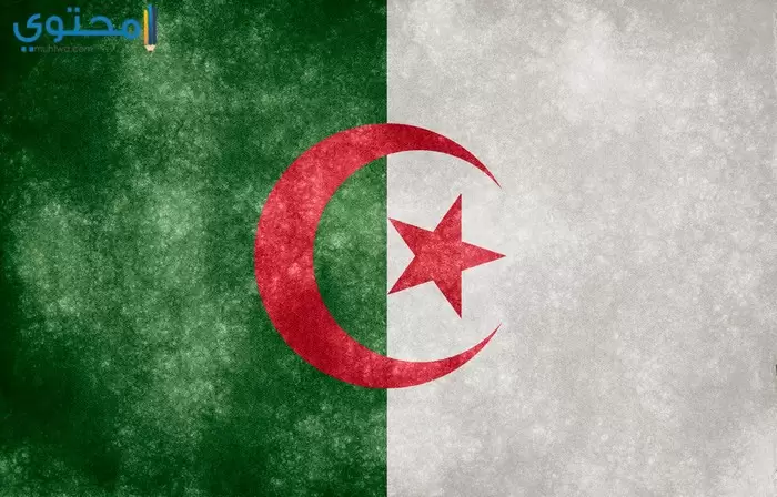 صور علم الجزائر 