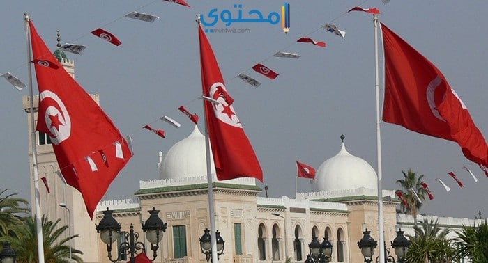 أغلفة علم تونس 2018