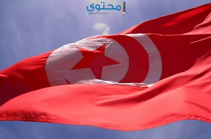 صور ورمزيات علم تونس الجديدة 
