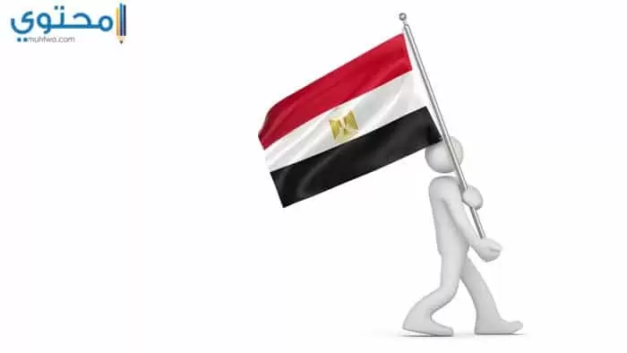 صور علم مصر للفيس بوك وتويتر 