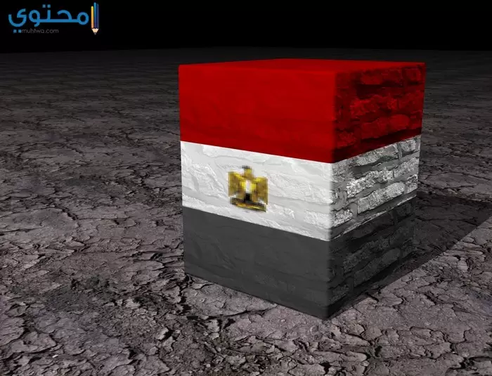 صور حديثة للعلم المصري 