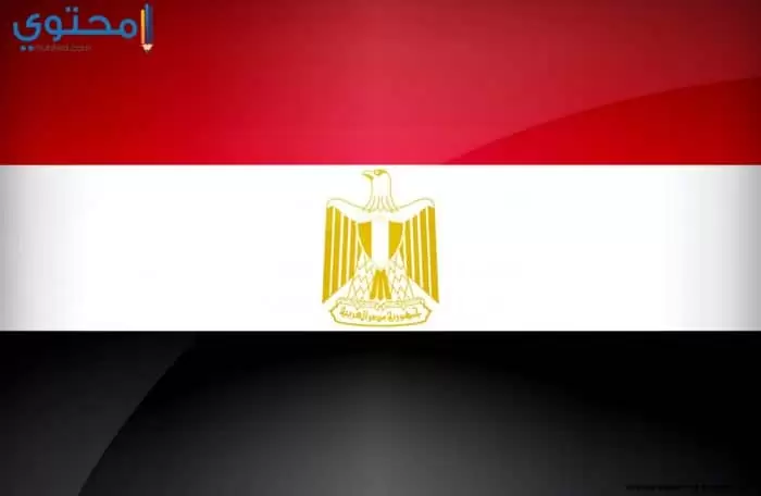 صور العلم المصري روعة 