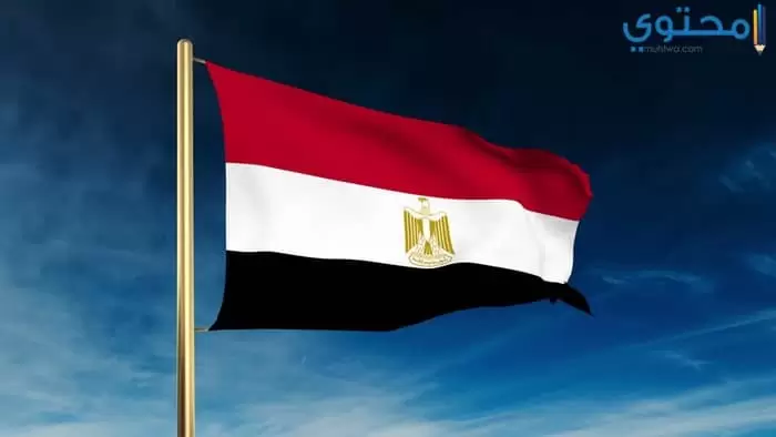 صور علم مصر 201802