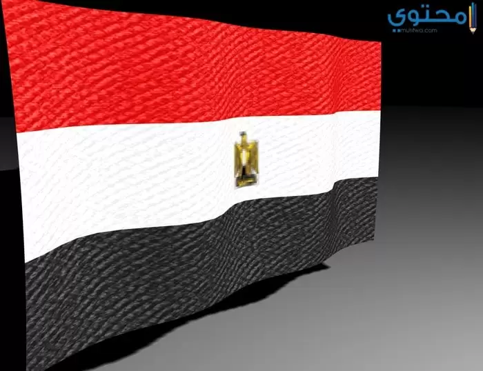 صور علم مصر 201804