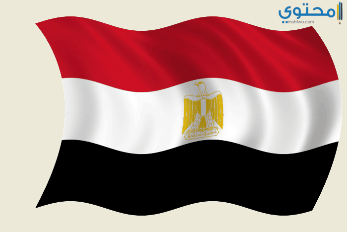 صور علم مصر 201806