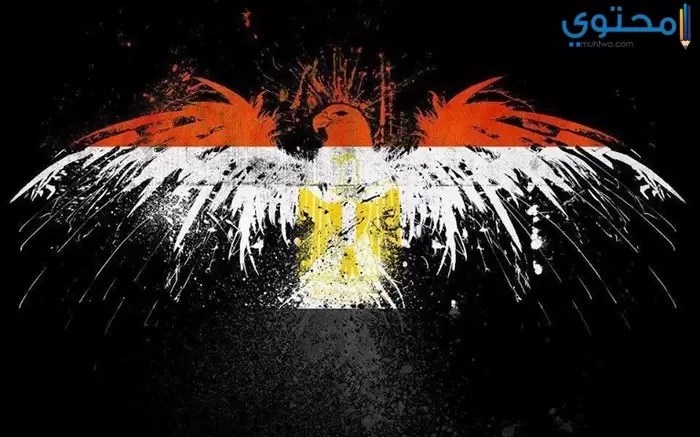 صور علم مصر 201807
