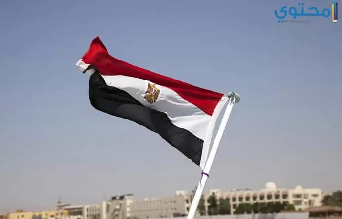صور علم مصر 20181 1