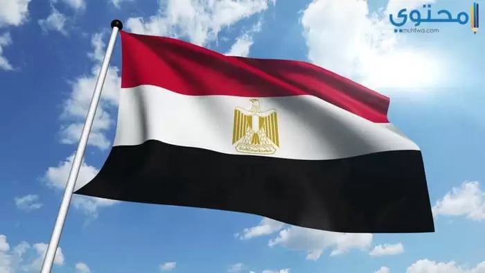 صور علم مصر 20181