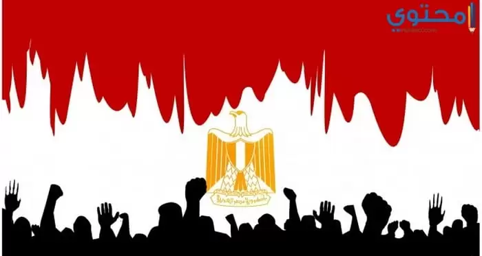 صور علم مصر 201817
