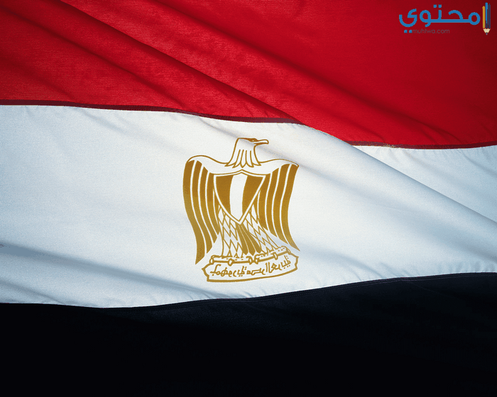 صور علم مصر 201819