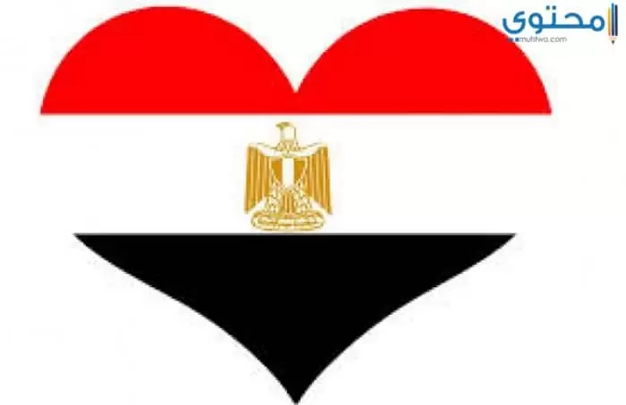 صور علم مصر 20182