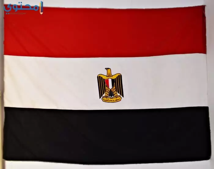 أحدث صور علم مصر للفيس بوك
