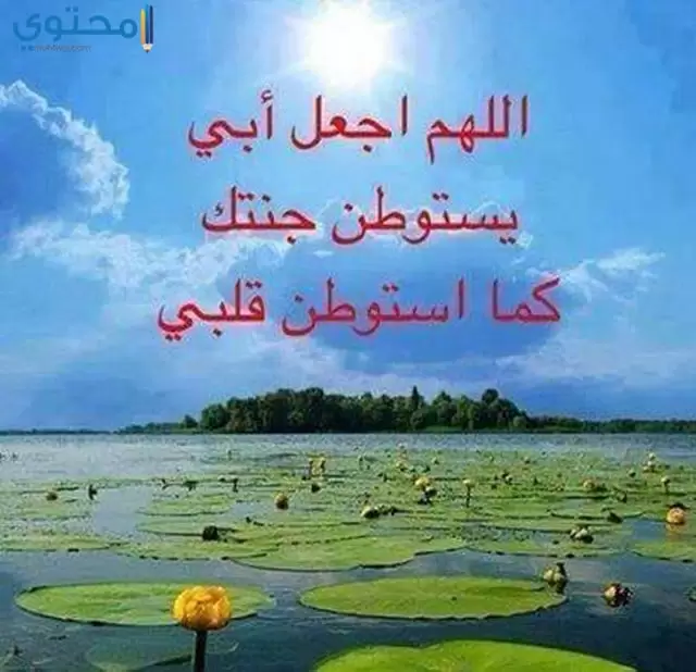 خلفيات للأب المتوفي روعة