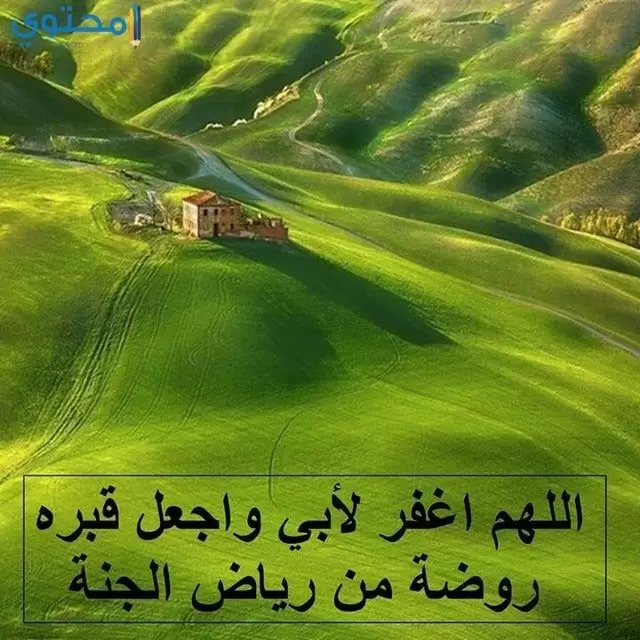 خلفيات عن الأب حزينة