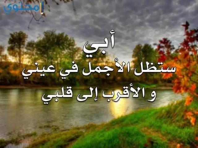 صور عن الأب