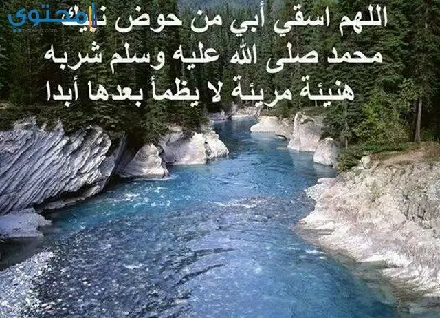 صور عن الأب المتوفي روعة