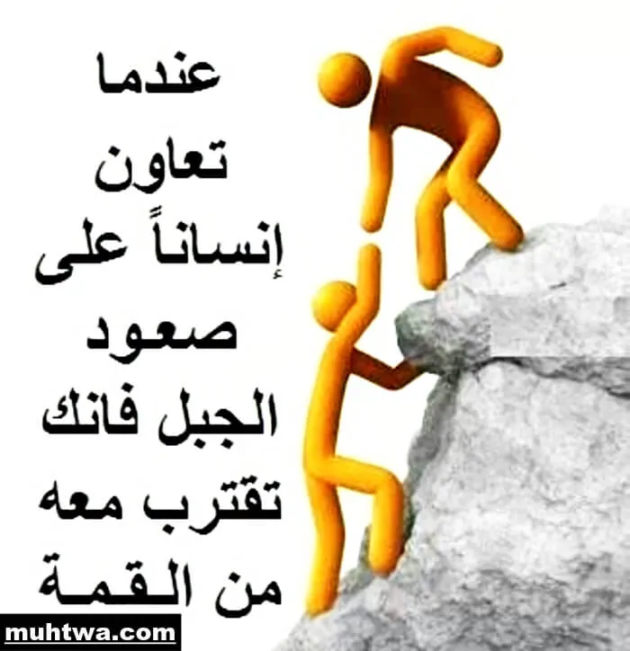صور عن التعاون