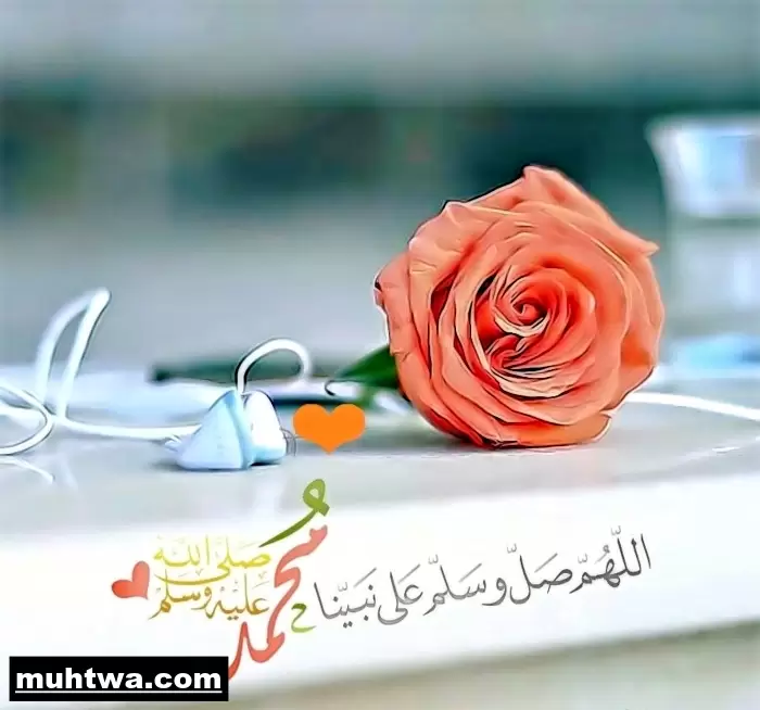 صور عن الرسول