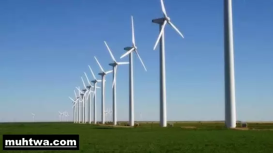 عن الرياح