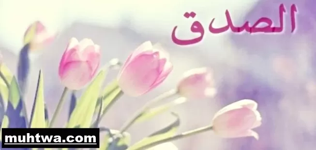 بحث عن الصدق بالعناصر الرئيسية