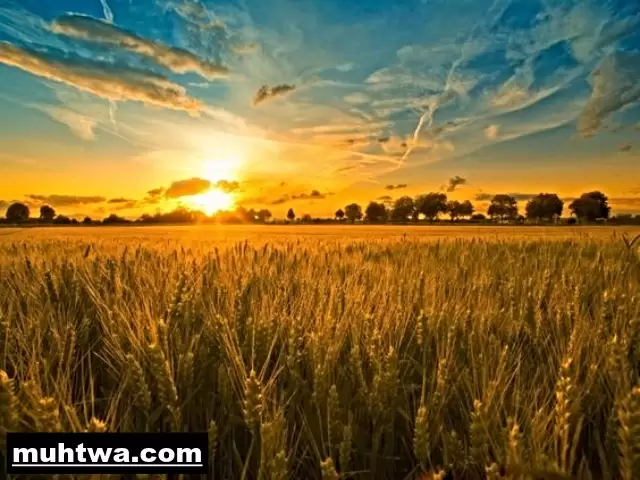 صور عن الطبيعة