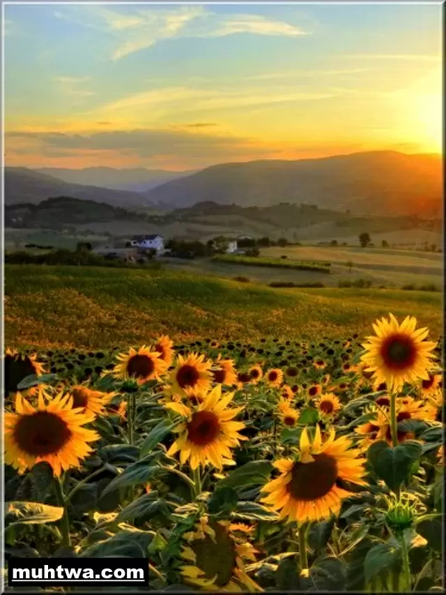 صور عن الطبيعة