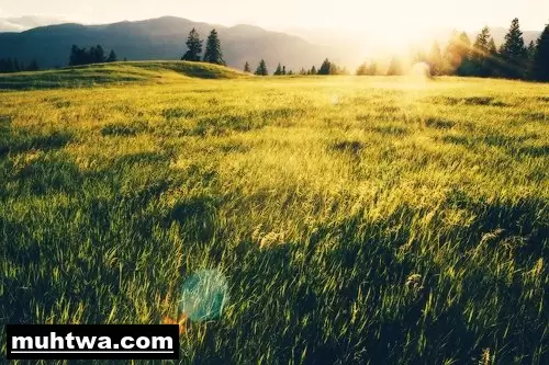صور عن الطبيعة