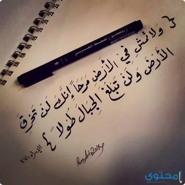 صور-عن-الغرور