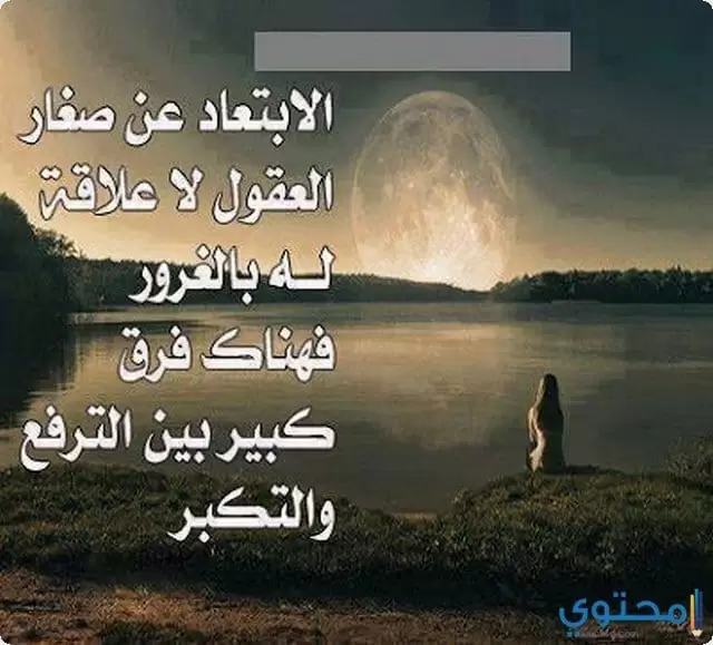 صور عن الغرور