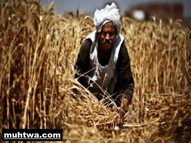 صور عن الفلاح