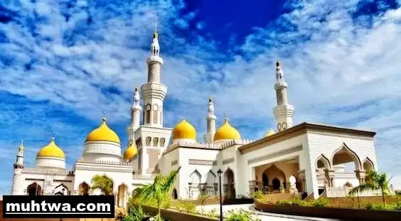 عن المساجد 1