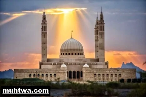 عن المساجد 3